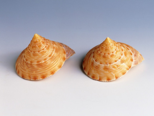 399262 (a): :1024x768